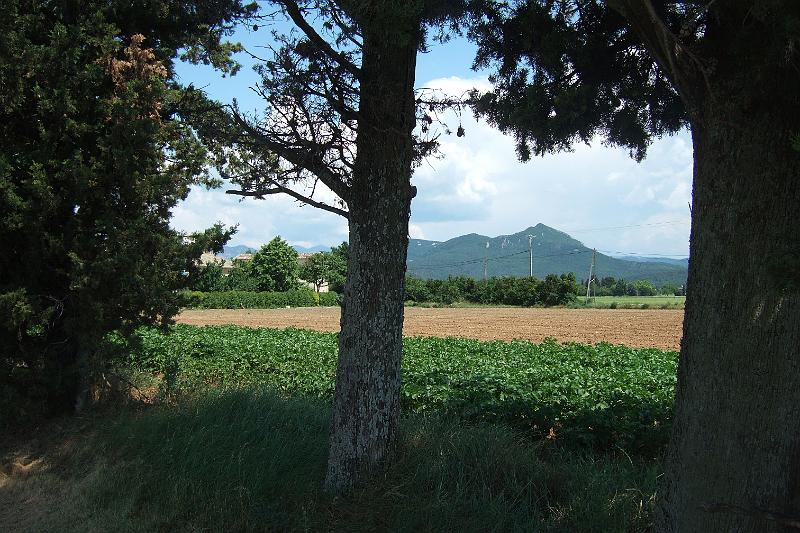 2011-05- (1561).JPG